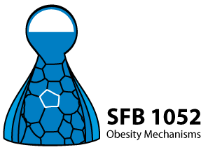 Sonderforschungsbereich 1052 Mechanismen der Adipositas